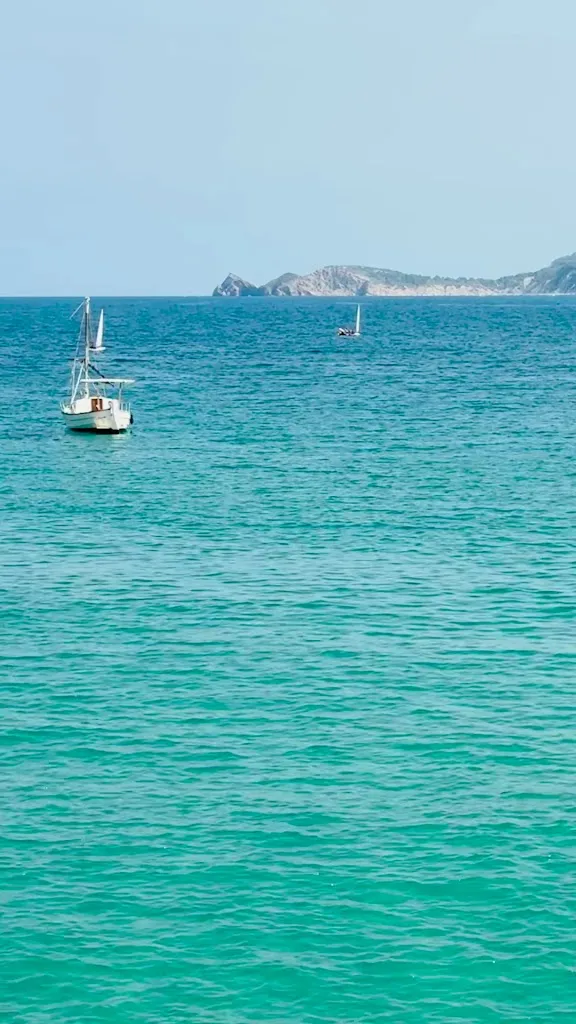 Vipin Moharir_Restaurante Cala Bandida Jávea-Xàbia_Jávea/Xàbia_recensione