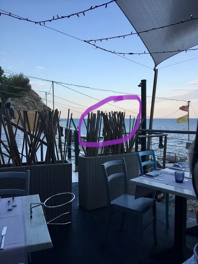 Coccinella_Porteghetto_Cervo_review