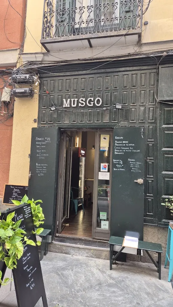 Musgo_Cervantes_slider_image_1