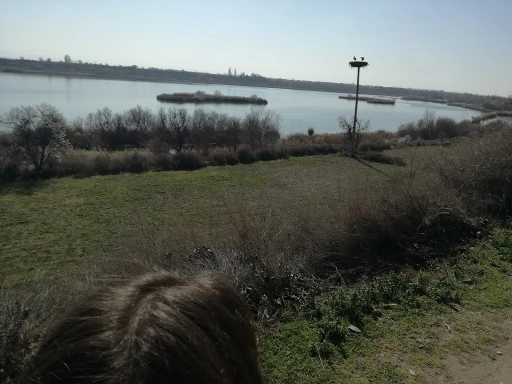 Andrea Bruma_Pergamí_Tàrrega_review