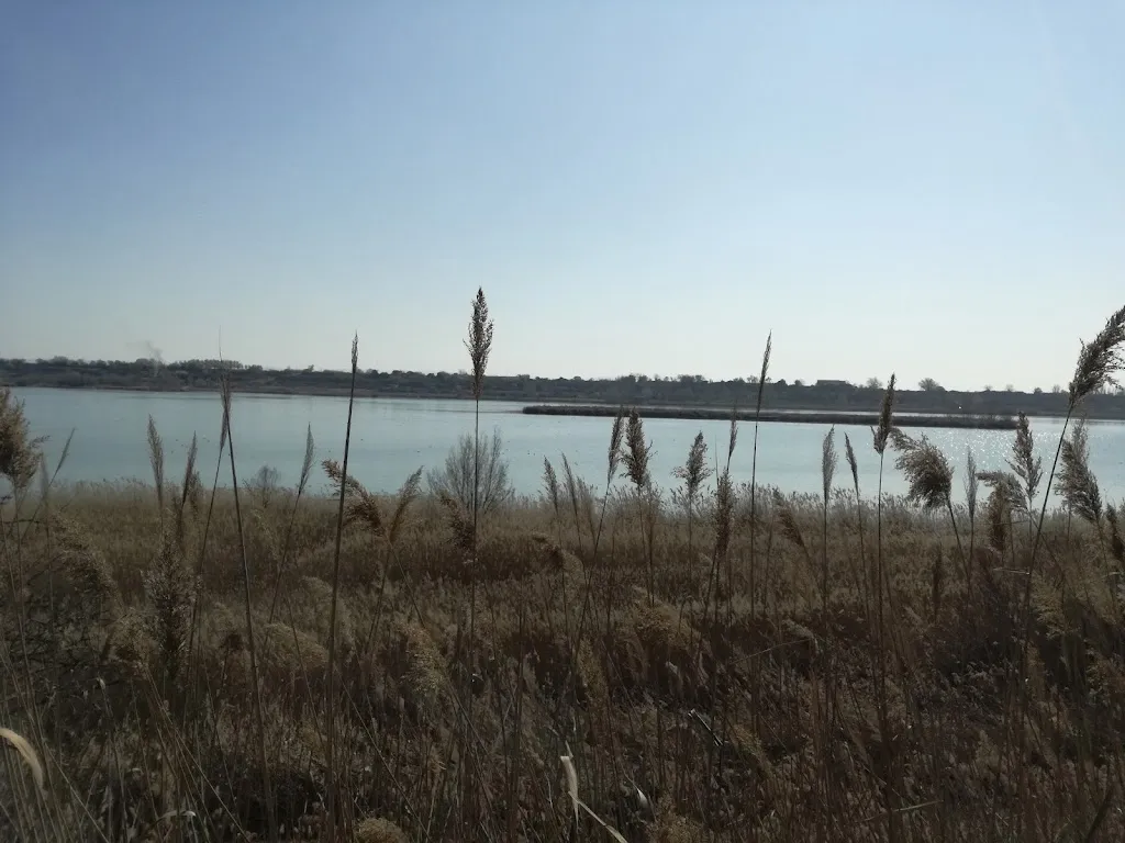 Pergamí_Tàrrega_slider_image_3