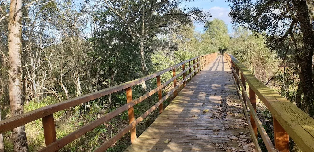 Gill C_Lagoa de Cospeito_Cospeito_review