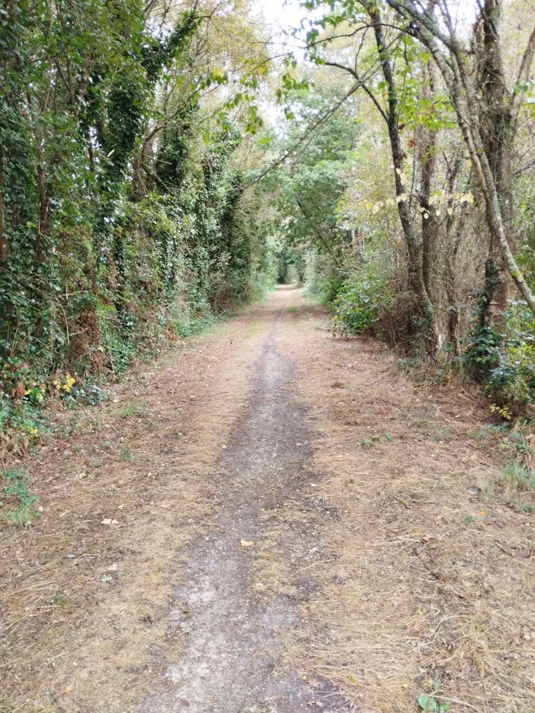 Jesus Calvar_Lagoa de Cospeito_Cospeito_review