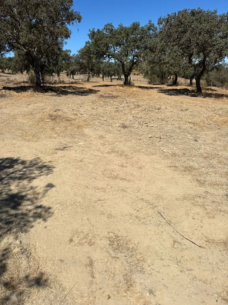 Comedouro da Boavista_Castroverde_slider_image_1