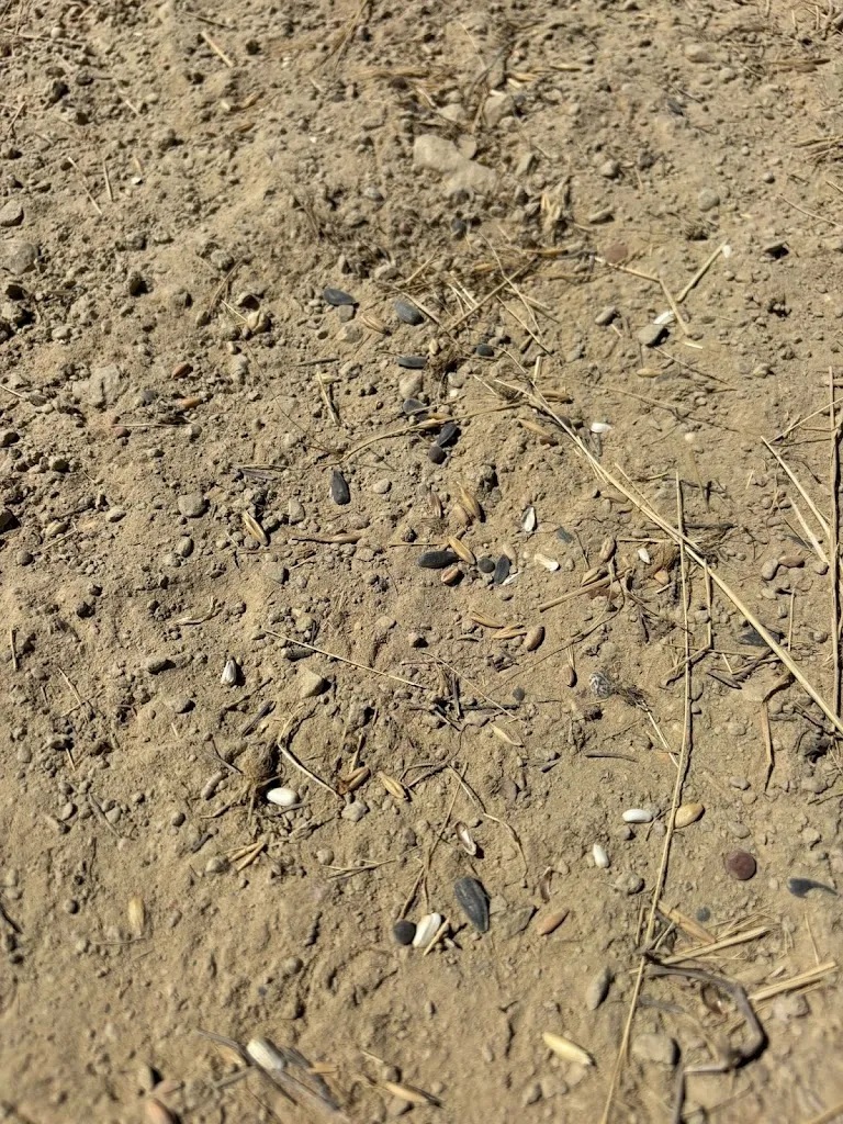 Comedouro da Boavista_Castroverde_slider_image_2