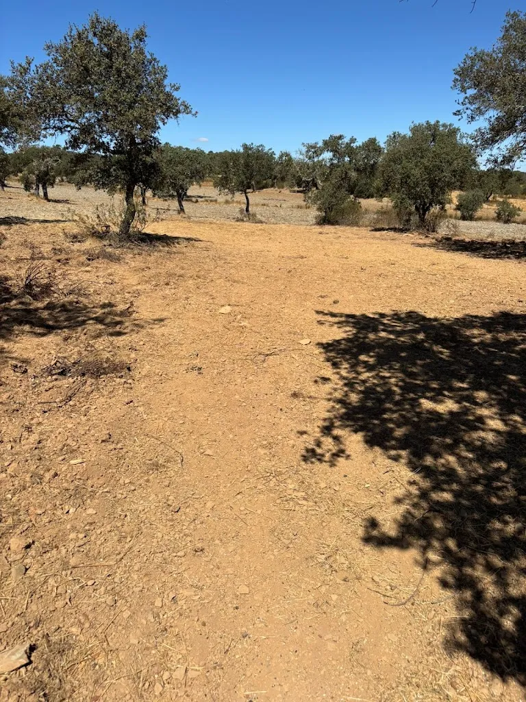 Comedouro da Boavista_Castroverde_slider_image_3