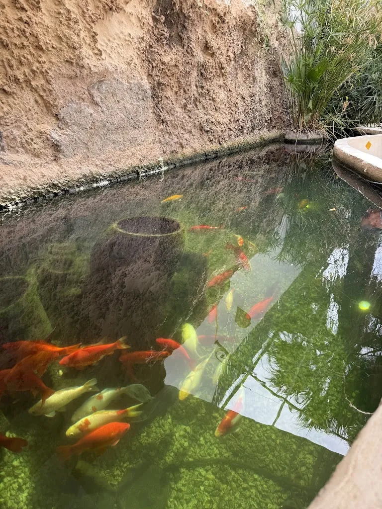 S May_La Bambula_Jávea/Xàbia_review