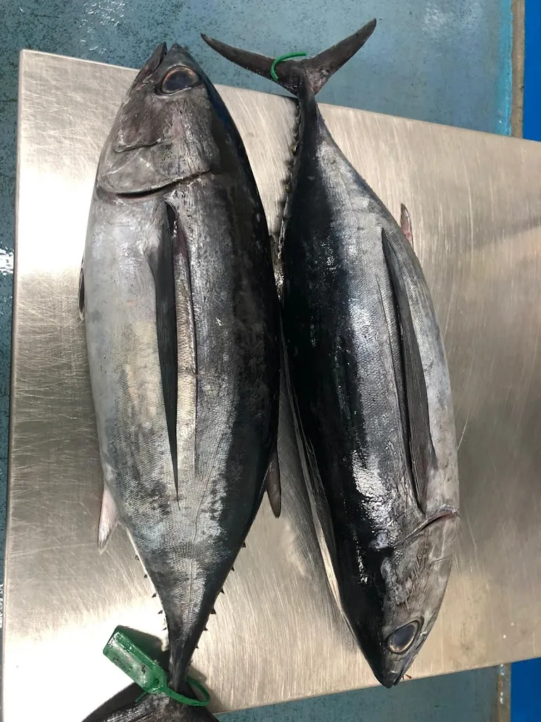 O Almacén Do Peixe_Burela_slider_image_3