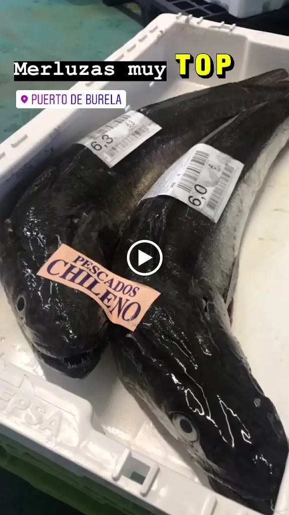Pescados Chileno_Burela_slider_image_2