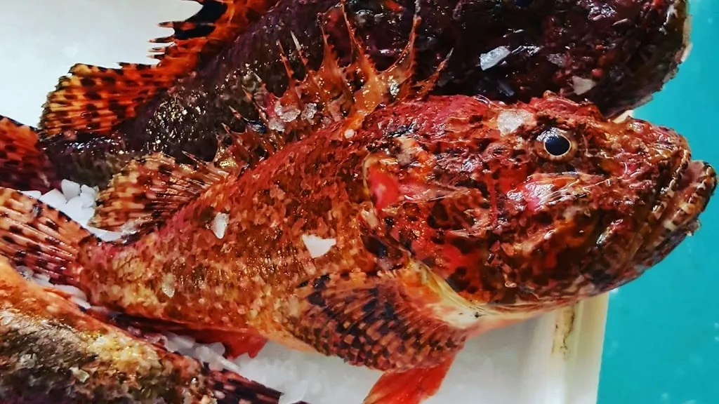 Pescados Chileno_Burela_slider_image_3