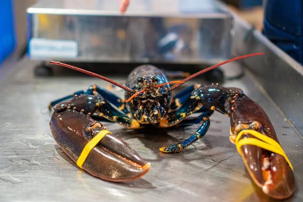 Mariscos Pepa_Burela_slider_image_2