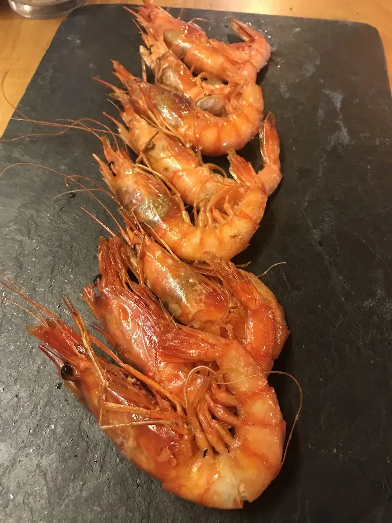 Cora and Marley_Casa Gaibor_Guitiriz_review