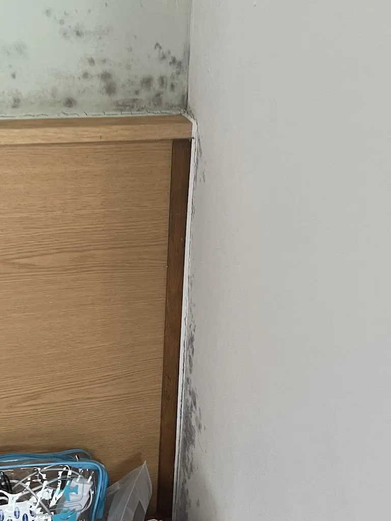 Alena Jenicek_Hostal Restaurante La Casilla_Guitiriz_review