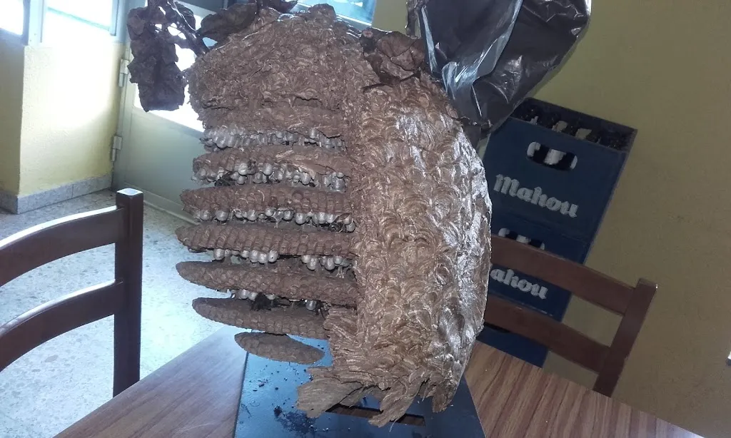 Menu_Cervecería Abadía_Mondoñedo_image_8