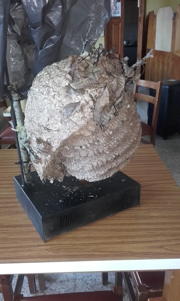 Menu_Cervecería Abadía_Mondoñedo_image_9