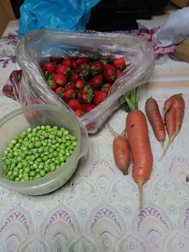 Menü_TOGU_O Incio_Bild_1