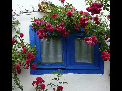 Bodegón Ribeira Sacra_Monforte de Lemos_slider_image_2