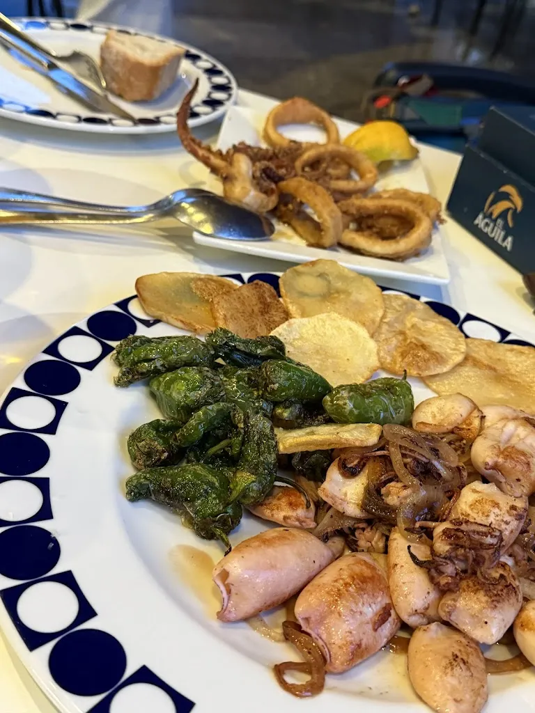 Martin T_La Polar_Monforte de Lemos_review