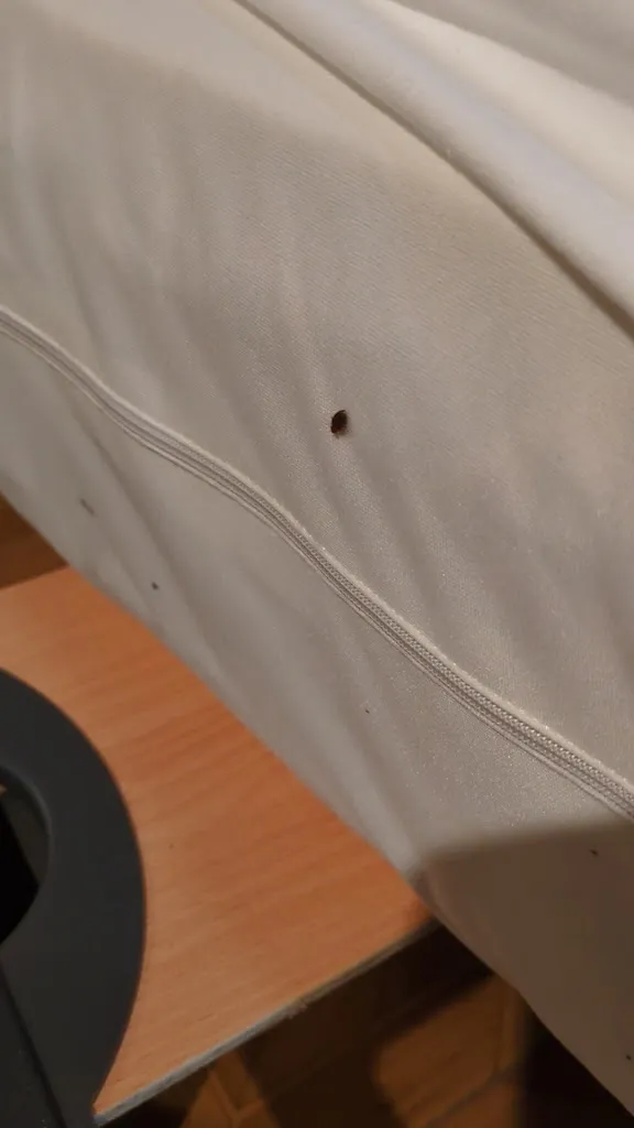 Kieren Northam_Venta Celta_Pedrafita do Cebreiro_Bewertung