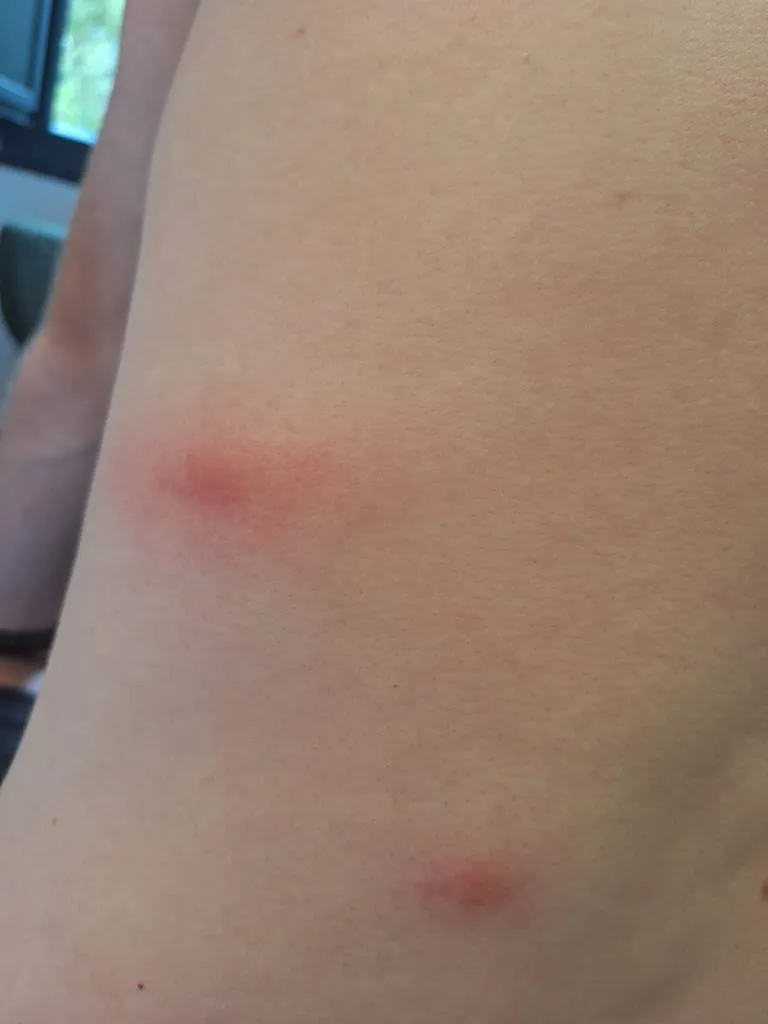 Jordan Satmary_Mesón - hostal Venta Celta_Pedrafita do Cebreiro_review