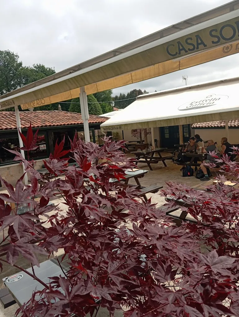 ali hassan_A Taberna Do Carteiro_Palas de Rei_recensione