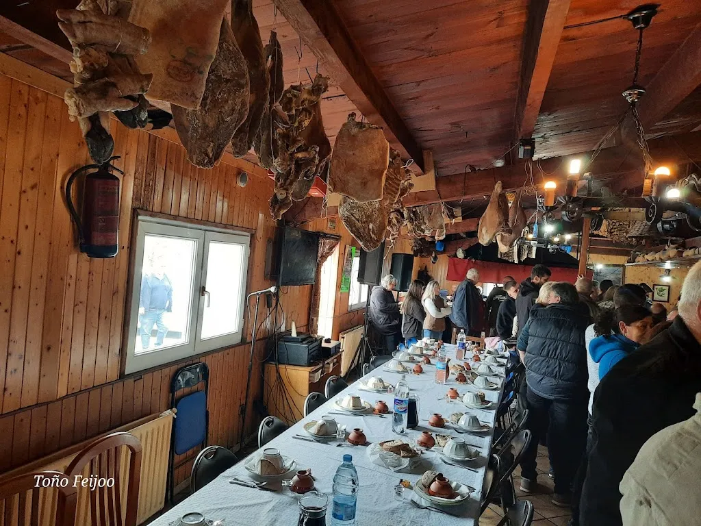 Safari Framil_Xermade_slider_image_1