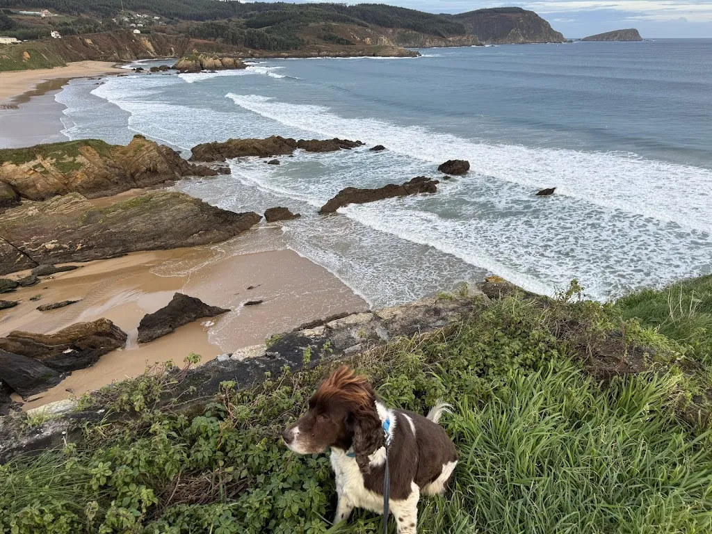 Andrew S_Restaurante Area Grande_Vicedo O_review