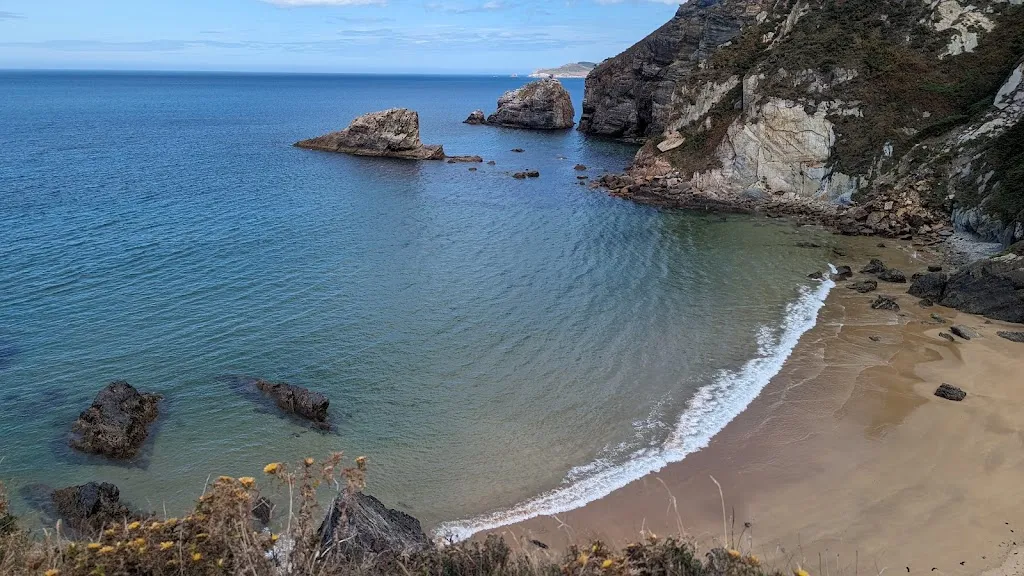 William Hardister_Restaurante Area Grande_Vicedo O_review