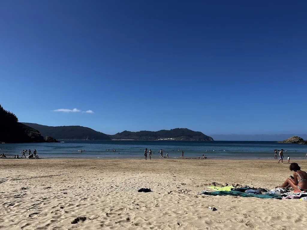 Richard Arduino_Grill 