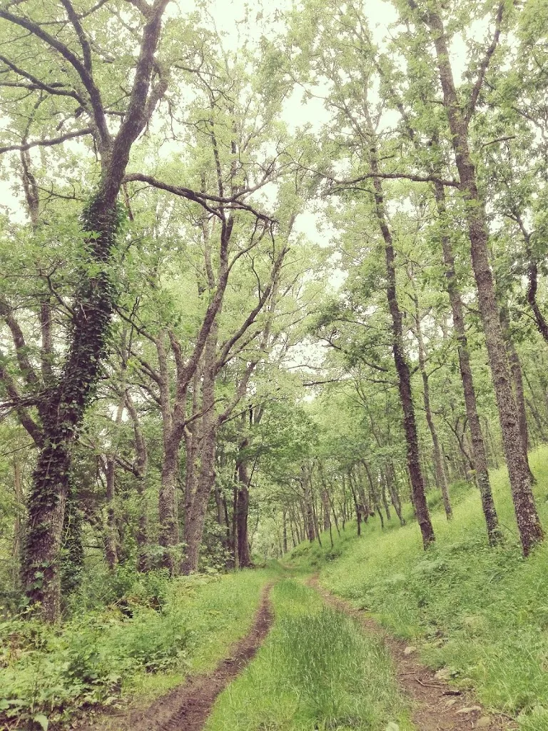 Fer SD_LOS SECRETOS DE LUA, Sierra Norte Madrid, Alojamientos Rurales_Acebeda La_review