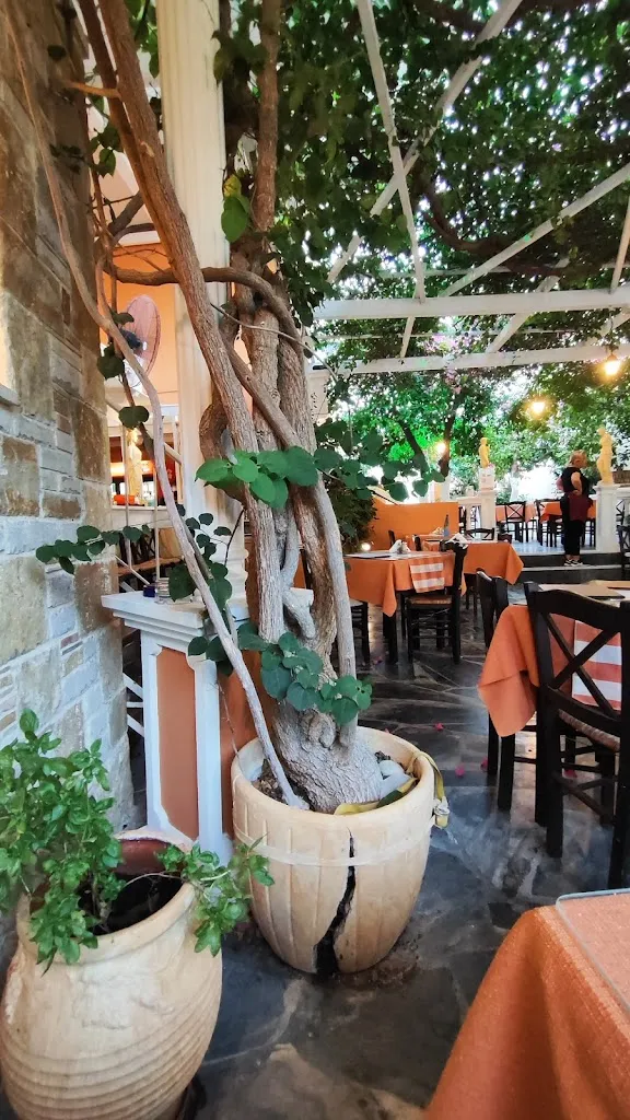 Ivan Filipov_Irodion Garden Restaurant_Samos_review