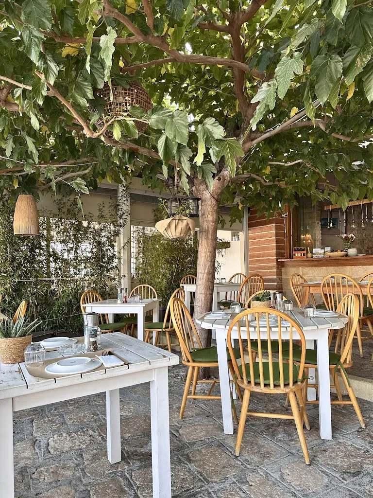 MERMIZELI_Samos_slider_image_3