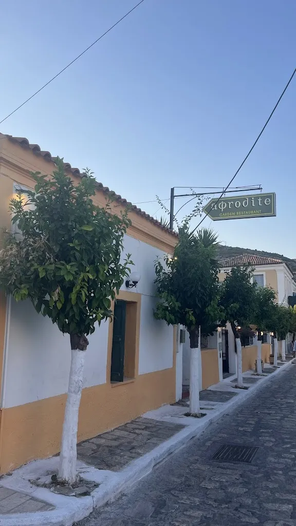 Ipek Yurdal_Aφrodite Garden Restaurant_Samos_review