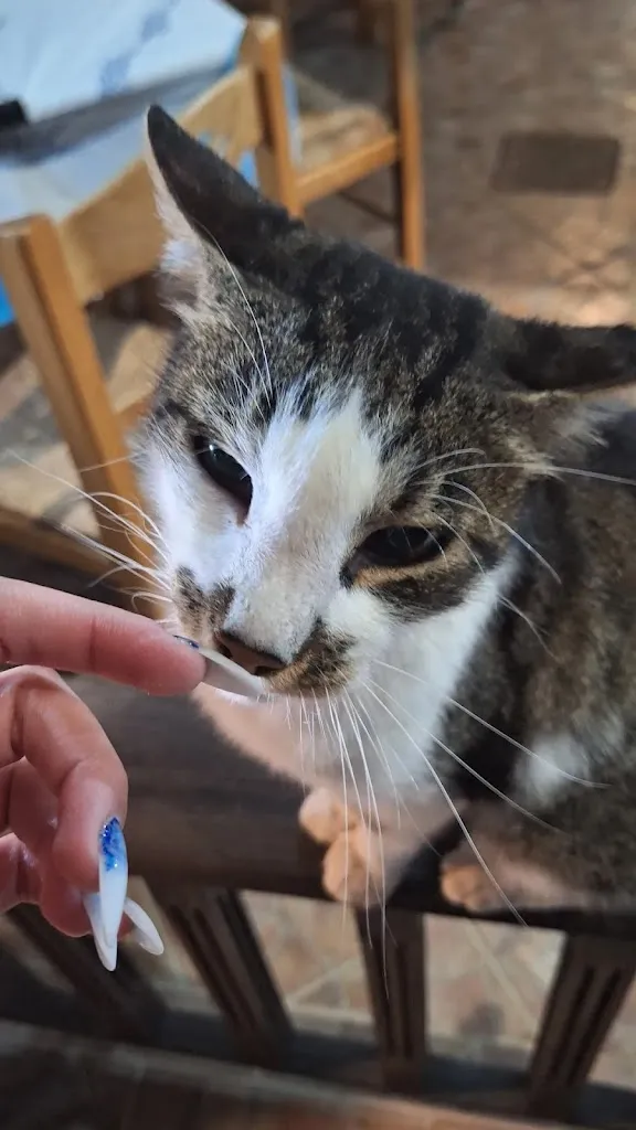 Mira Senn_Argo Restaurant_Samos_review