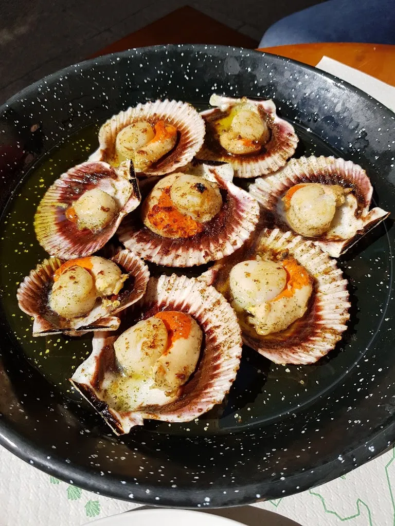 Menu_Trunk corner_Viveiro_image_5