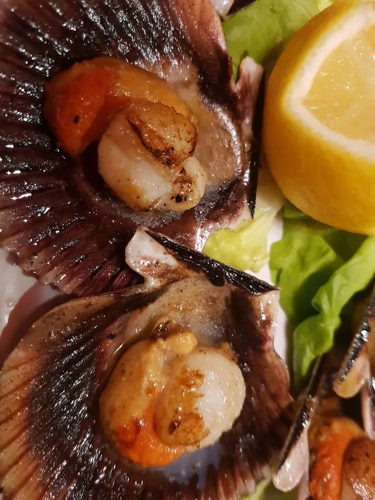 maria teresa michell_Aquitania_Viveiro_review