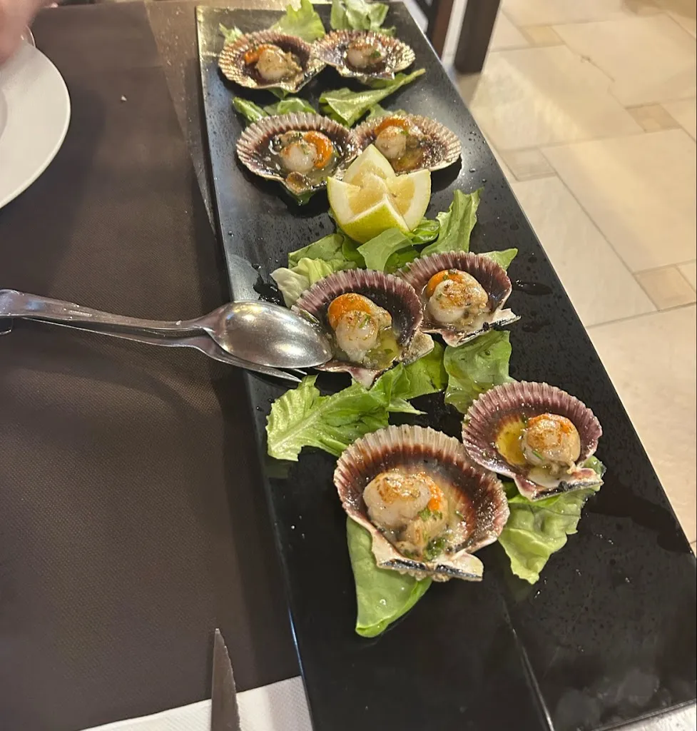 Veronica_Aquitania_Viveiro_review