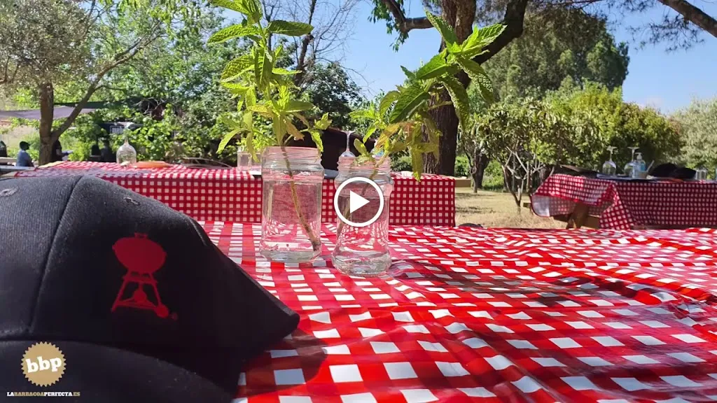 TIENDA BARBACOAS MADRID - La Barbacoa Perfecta Weber Center Madrid - Ajalvir Envío a Domicilio_Ajalvir_slider_image_2