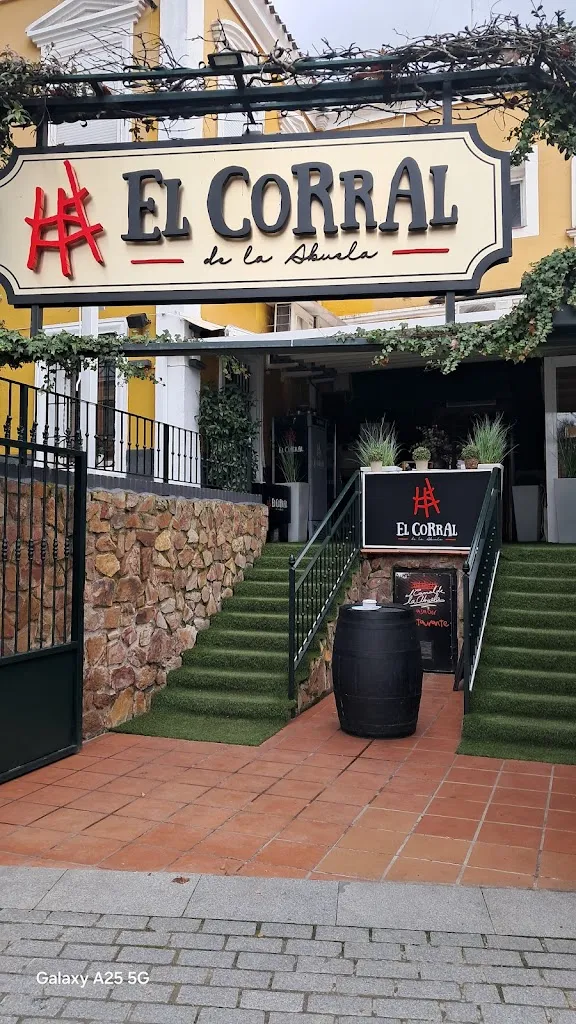 Rosa Espindola_Restaurante El Corral de la Abuela_Aranjuez_review