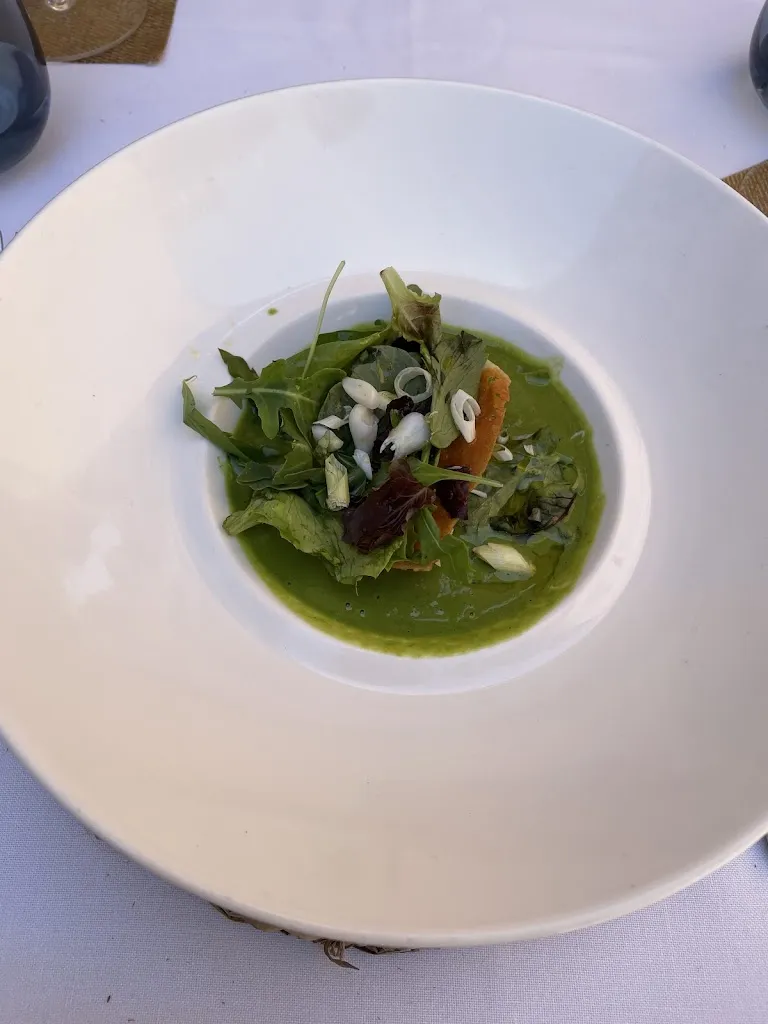 Mido Talhouni_Casa José_Aranjuez_review