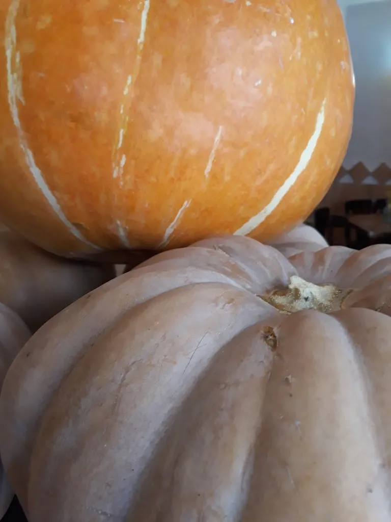 Menu_El Fornet_Monóvar/Monòver_image_6