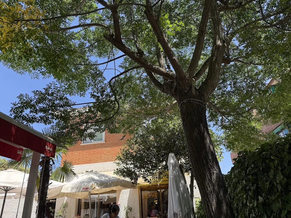 Restaurante El Cortijo_Brunete_slider_image_3