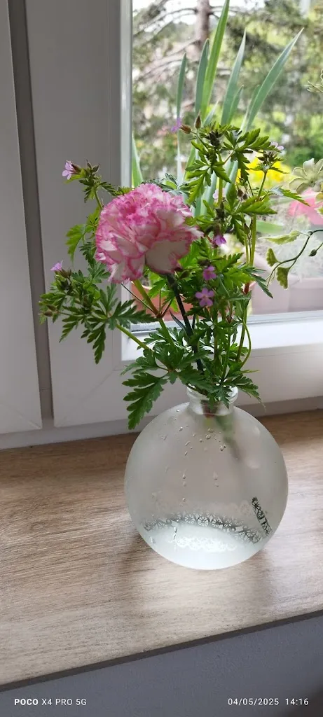 alicia cardin_Donde Joha_Becerril de la Sierra_review