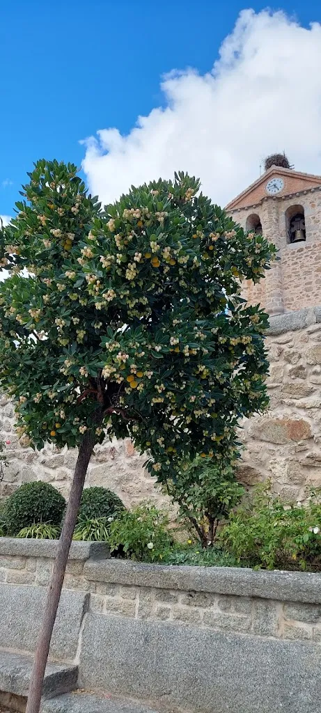 Los Caprichos Del Cantón_Bustarviejo_slider_image_3