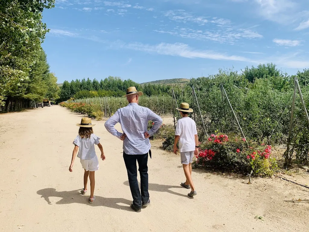 Kenza Mekouar (Career 3.0)_Huerta Carabaña_Carabaña_review