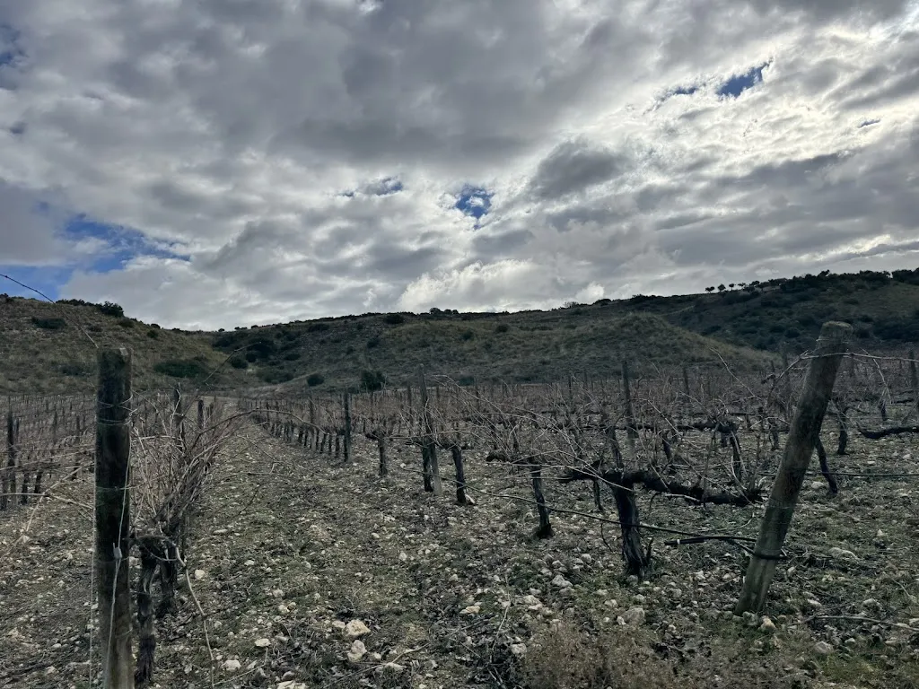 Juanma GDC_Huerta Carabaña_Carabaña_review