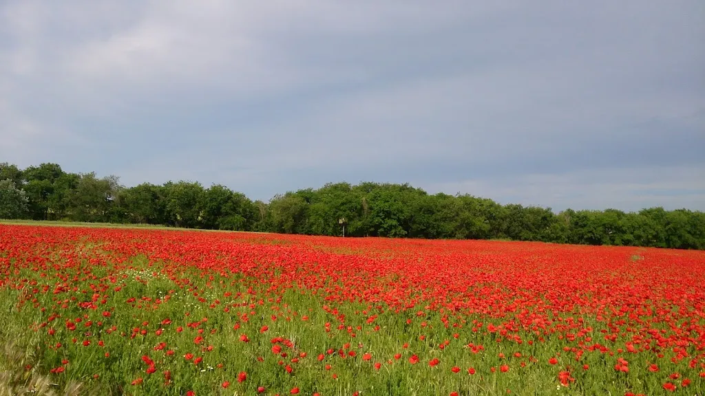 Mesón Calima_Casarrubuelos_slider_image_1