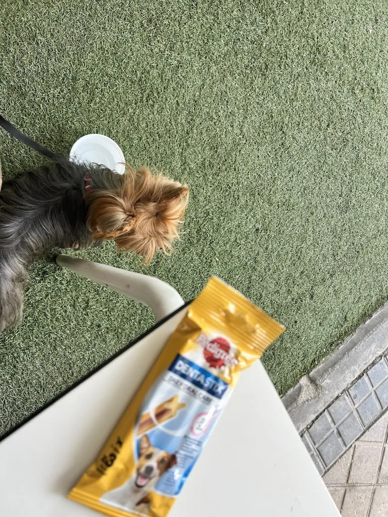 Antonio Martin_Restaurante La Divina más Ke Tapas_Arroyomolinos_review