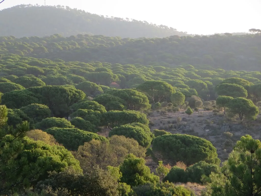 Restaurante Las Peñas_Cenicientos_slider_image_2