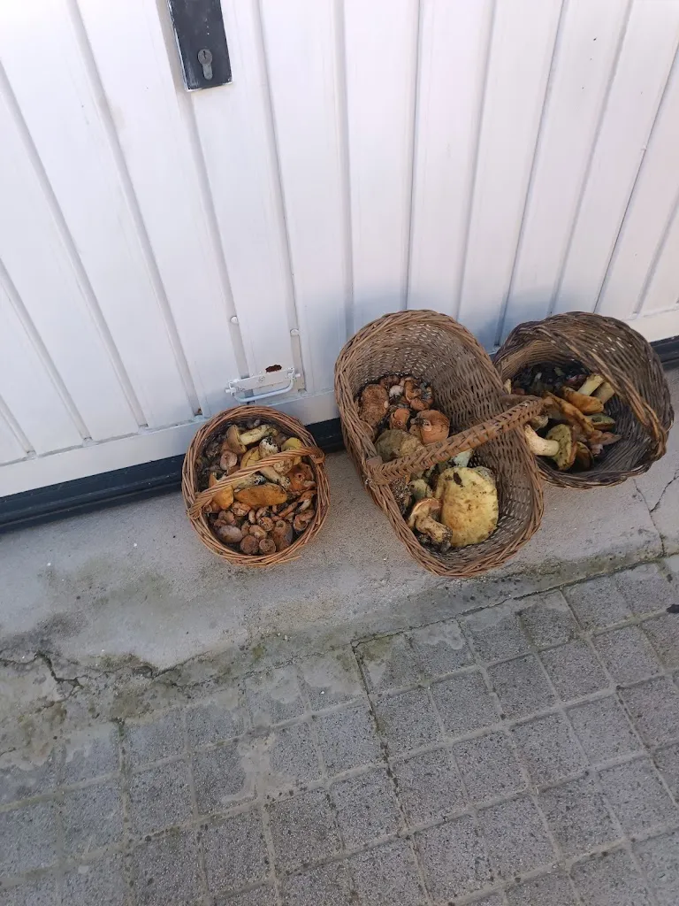 Menu_Bar Avenida_Cenicientos_image_3